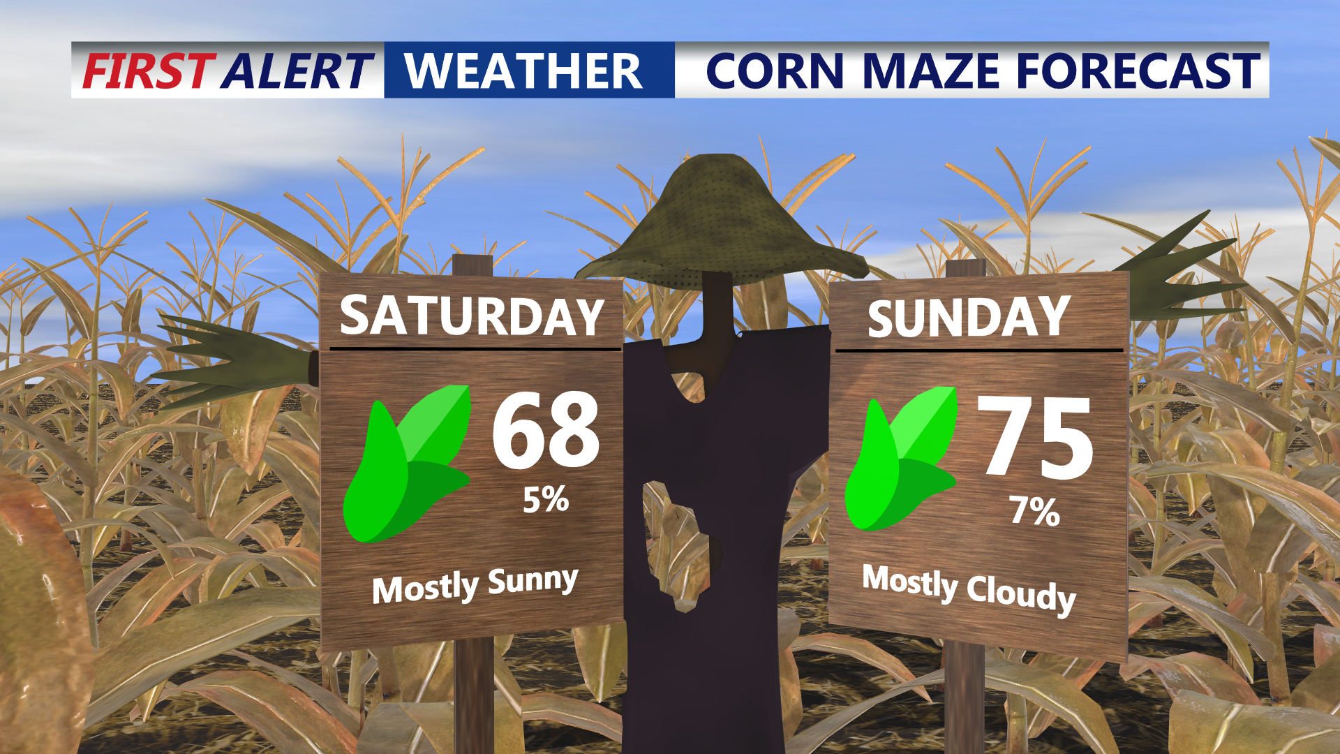 CORN MAZE